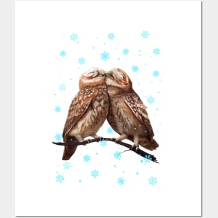 Owls of love in xmas Posters and Art